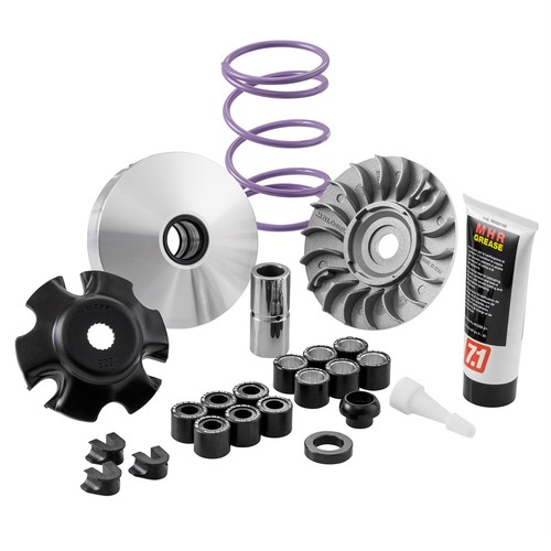Variatore malossi multivar mhr - malossi,