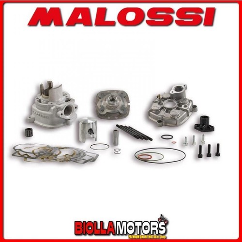318884 cilindro malossi 50cc - 318884,
